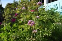 Caviri - B&B