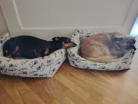 In Piazzetta - Cernobbio - Ferienwohnung Cernobbio