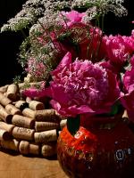 Estate Ana - B&B Ptuj