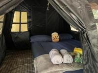 Premier Tent