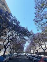 Apartment Marbella Centro - Chambres d’hôtes Marbella