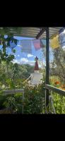 Guru guest house - B&B