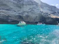 Sublime Appart T2 - B&B Bastia