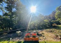 La loge de Lya - B&B Gagnières