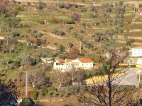 Bairral House - B&B Ferreiros de Avões