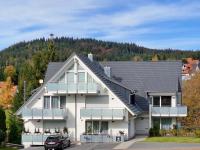 Waldgeflüster 2-Zi-DesignOase mit Terrasse und Tiefgarage im Neubau - Chambres d'hôtes Schluchsee