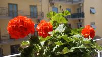B&B Maestra Giovanna - B&B Pompei