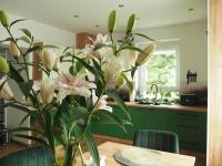 Apartament ZIELONO MI 2 - Bed and Breakfast Jedlina Zdrój