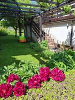 Apartma Renata - B&B