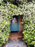 Apartment Aleks - B&B Tar