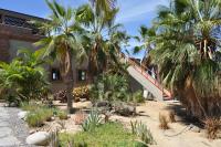 The Cozy Nest - Chambres d'hôtes Todos Santos