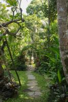 Coconut Corner - Rice Field Dome - B&B Tanah Lot
