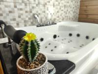 Apartment mit 1 Schlafzimmer und Whirlpool