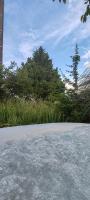 Gîte 4 pers, Jacuzzi, Piscine, proche Futuroscope, calme et nature à La Roche Posay - B&B