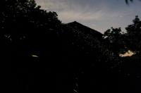 Mimmo's Holiday House - B&B