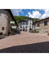 Dagli Olivari - Casa Ale - Ferienwohnung