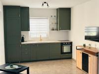 Apartment mit 1 Schlafzimmer