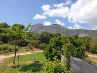 Gozzi Mandriolu - B&B Afa