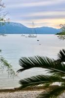 Villa Ante Apartments - B&B Blace