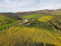 Agriturismo Cacciamici - Bed and Breakfast Castiglioncello del Trinoro