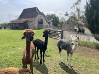 Gîte La Borie - B&B Fons