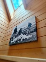 Domek w Zębie z jacuzzi - Bed and Breakfast Ząb