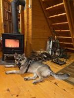 Domki na Mazurach Winiec - Chambres d’hôtes Winiec