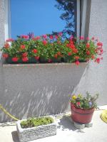 Guest House Vukušić - Ferienwohnung Crikvenica