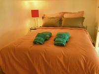 Studio de Rêve à Versailles Plein Centre , 500m Château, 350m Gare Rive Gauche - B&B