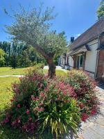 Magnifique longère proche Dreux et à 1h de Paris - Chambres d’hôtes Muzy