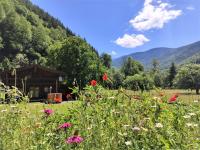 Timber Charm Chalet - B&B