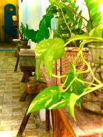 Mahalo Suítes - B&B Baía Formosa