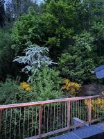 Dachterrassenwohnung - nah am See - B&B Biersdorf