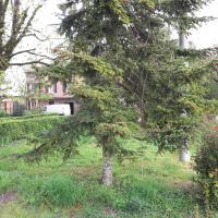 Agriturismo Dosso al Porto - Bed and Breakfast Rolo