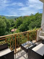 Appartement 1 Chambre avec Balcon et Vue sur les Montagnes 