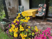 Apartment mit Terrasse