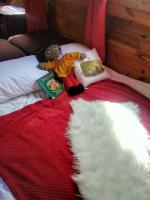 No frills narrowboat stay experience basic cosy - Chambres d’hôtes Lincoln