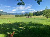 Ferienwohnung Mondsee-Irrsee - B&B Tiefgraben