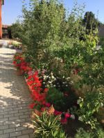 Zajim Apartment - B&B Umago