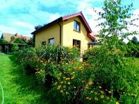 Całoroczny dom w lesie wśród odgłosów przyrody - B&B Rogowo