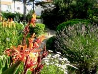 Apartmani Jessica - B&B Novalja