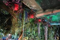 Green View Homestay - Bed and Breakfast Siliguri