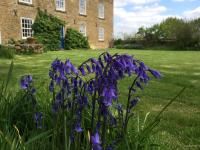 B&B Lower Brailes - Cotswolds Mine Hill House - Bed and Breakfast Lower Brailes