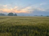 Quadambra Park The View - B&B Gärsnäs