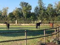 Maisonnette proche bord de Loire - B&B Saint-Julien-de-Concelles