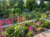 Lavally House - B&B Gort
