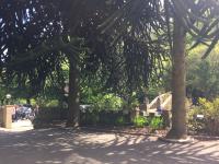 Ashdale Guesthouse - B&B Matlock