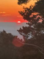 Aral - B&B La Pinilla