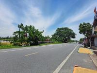 GolDen RiCe - Ferienwohnung Thái Thụy