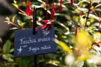 L'instant jardin - B&B Saint-Mars-de-Coutais